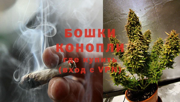дурь Дмитриев