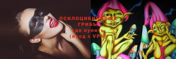 дурь Дмитриев