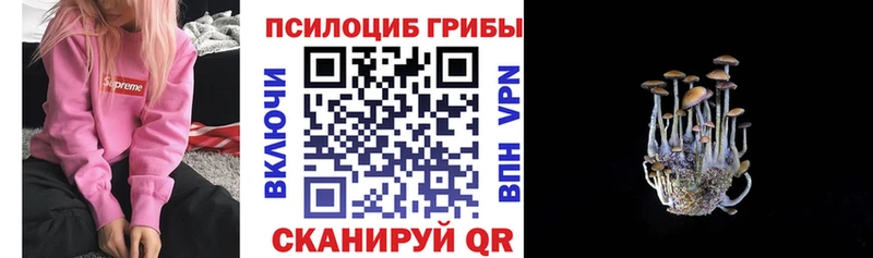 Купить где  Харовск  Галлюциногенные грибы Magic Shrooms 